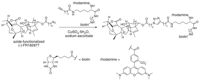 Fig. 10