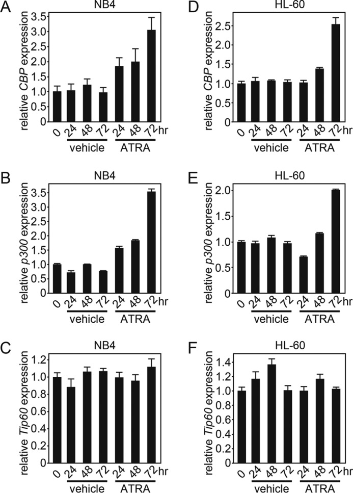 FIGURE 4.