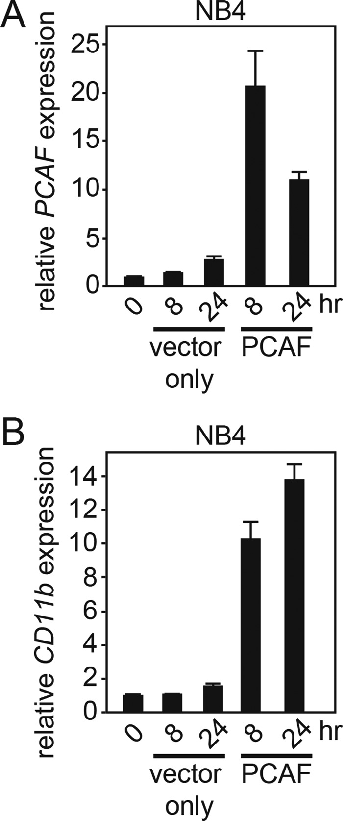 FIGURE 7.