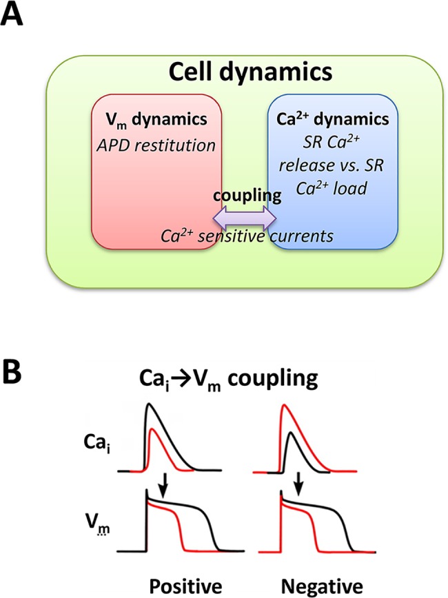 Fig 5