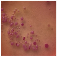 graphic file with name toxics-13-00201-i002.jpg