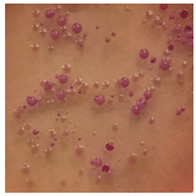 graphic file with name toxics-13-00201-i010.jpg