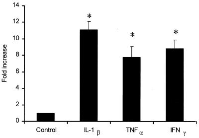 FIG. 2.