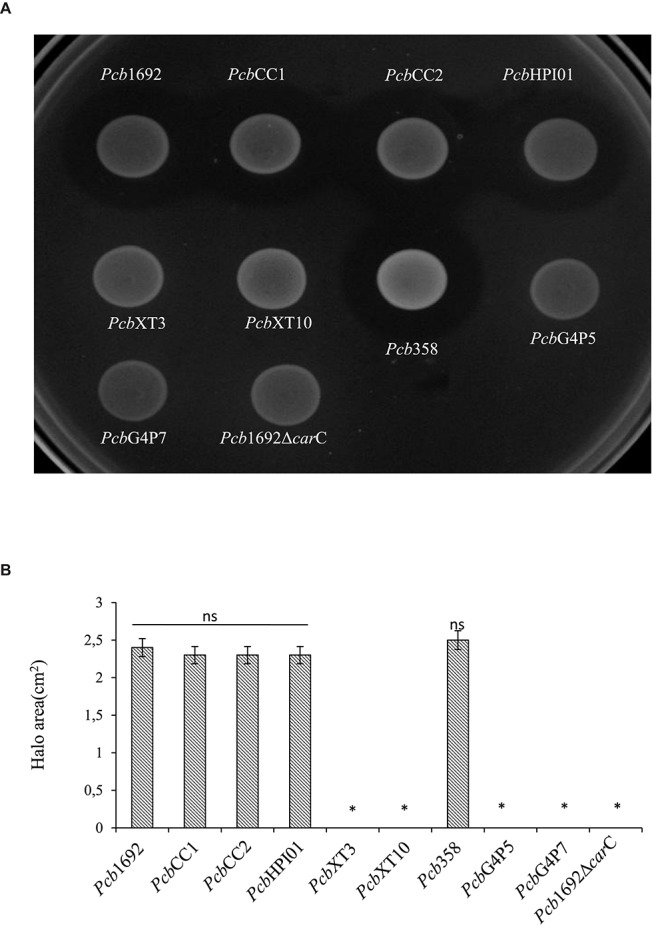 FIGURE 6