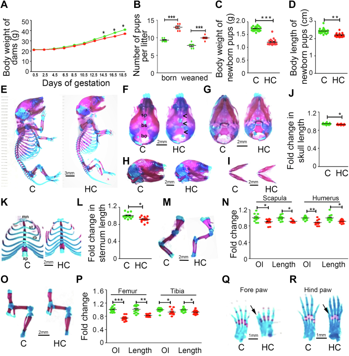 Figure 3