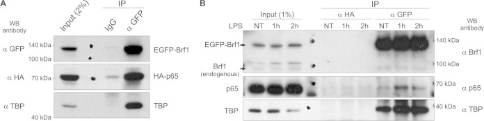 FIG 6