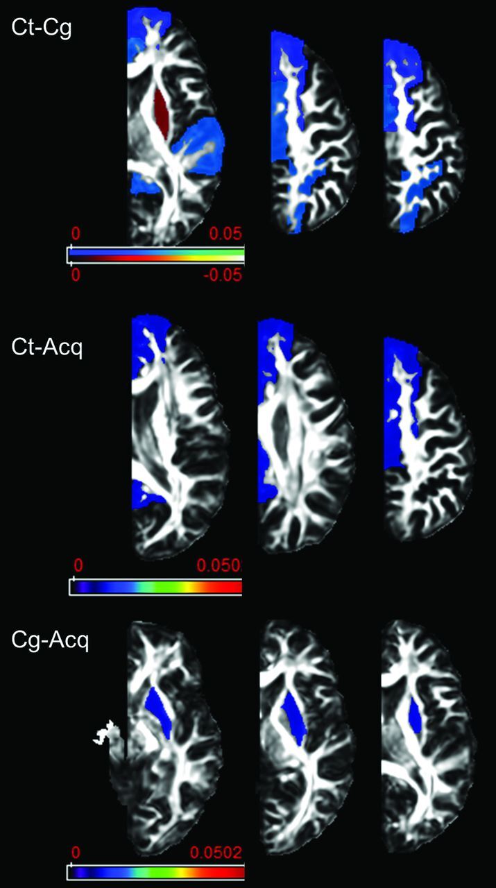 Fig 3.