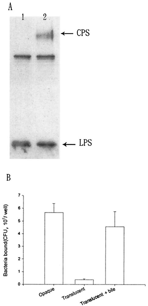 FIG. 5.