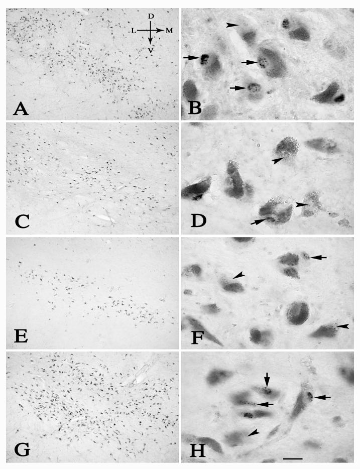 Fig.1