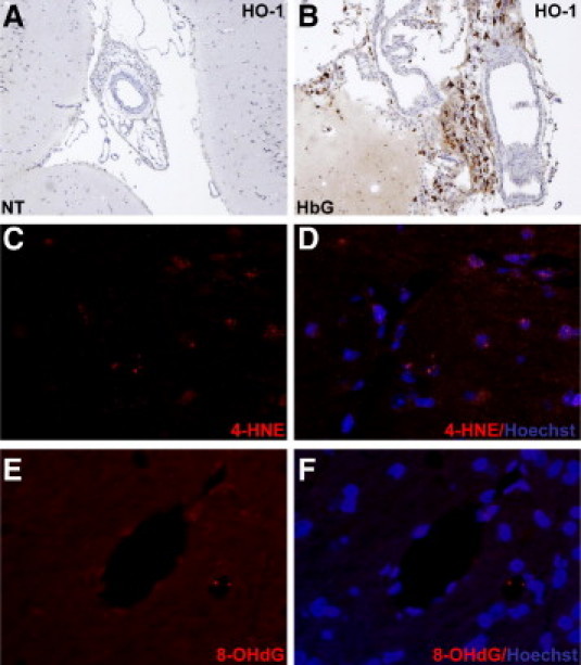 Supplement Figure S2