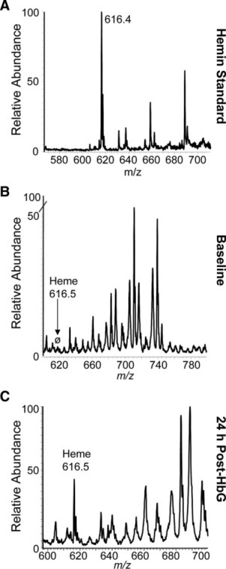 Supplemental Figure S4
