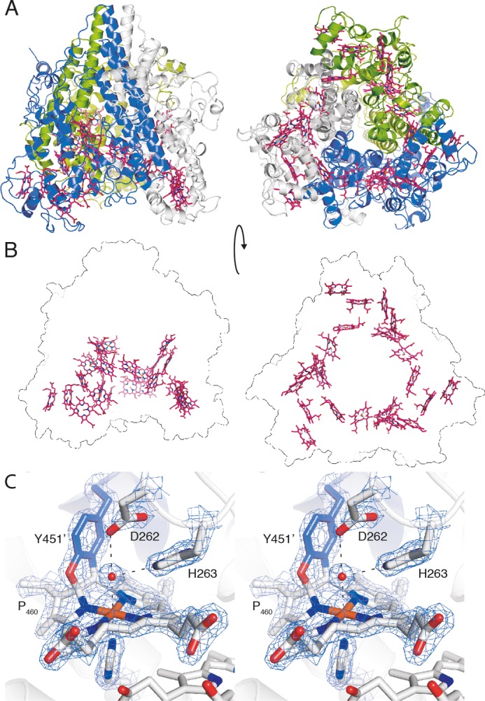 FIGURE 4.