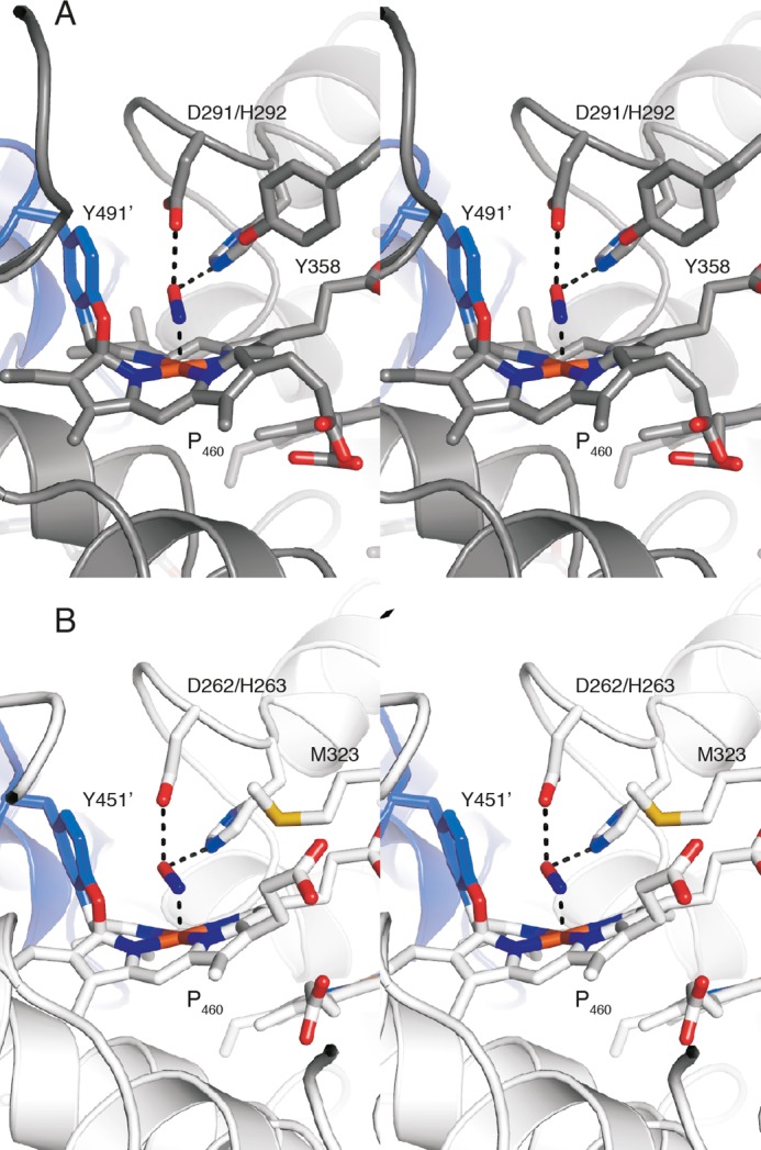 FIGURE 10.