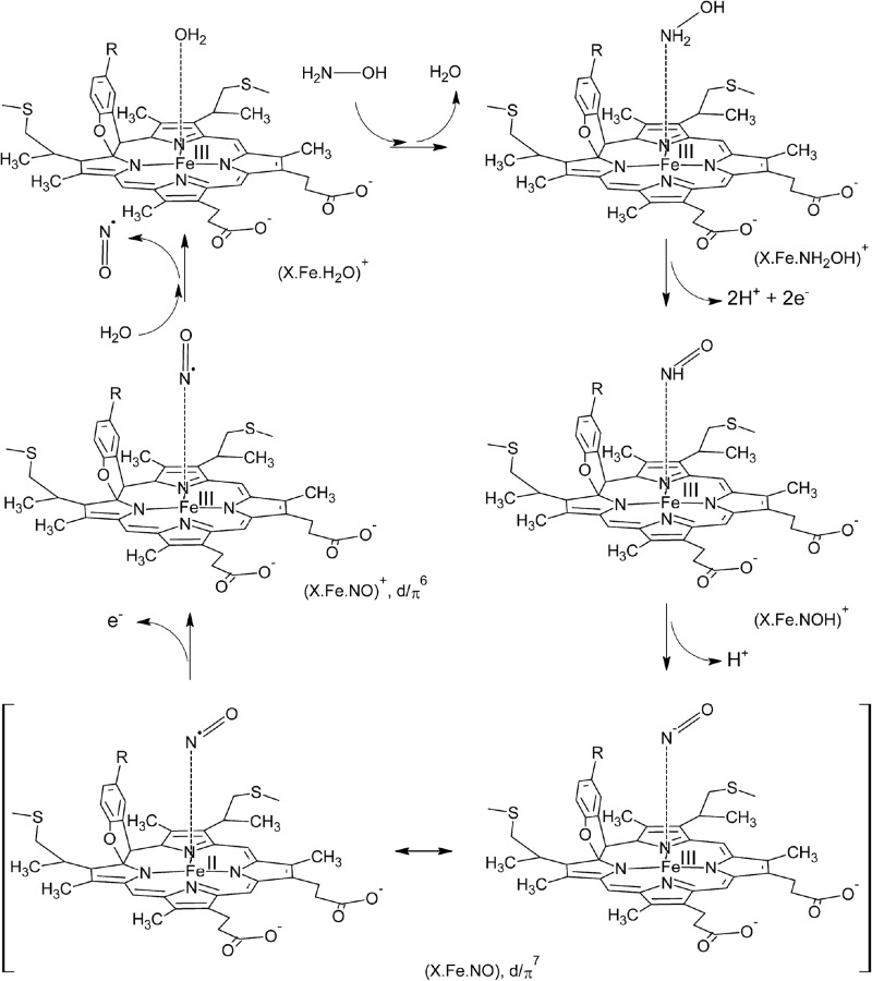 FIGURE 11.