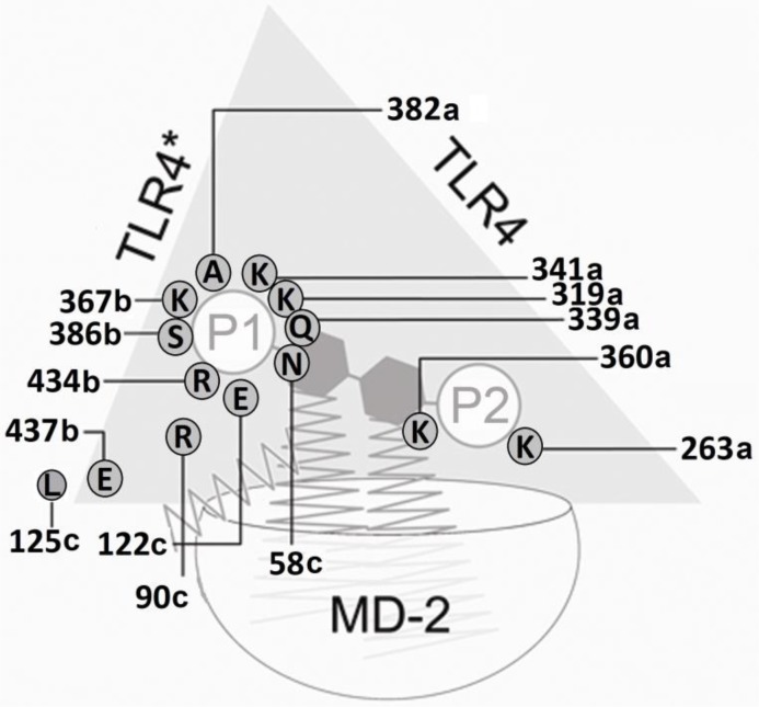 Figure 7