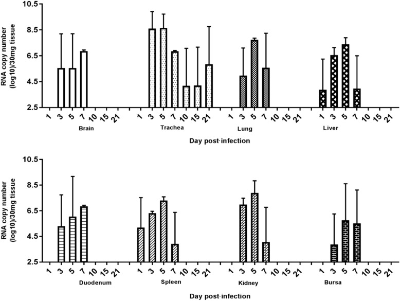 Figure 3