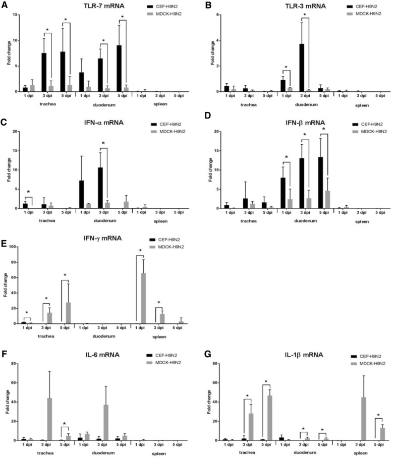 Figure 4