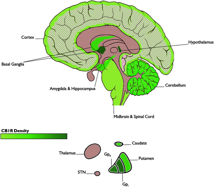 FIG. 2.