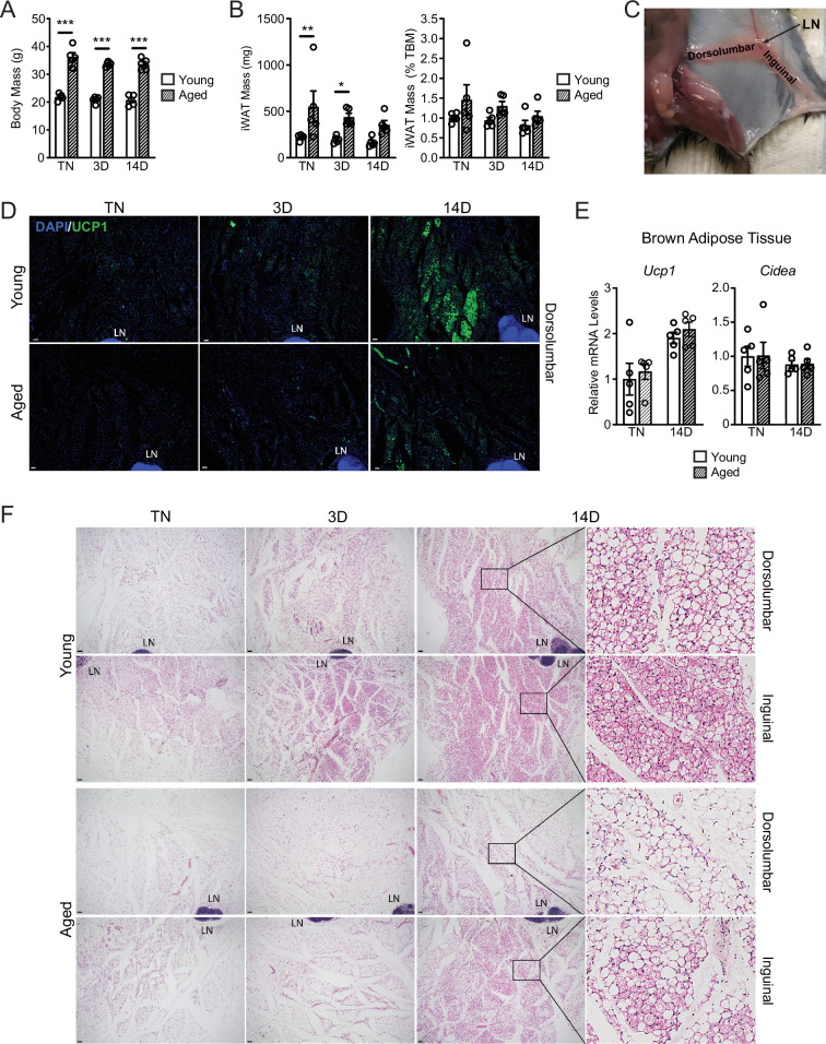 Figure 1—figure supplement 1.