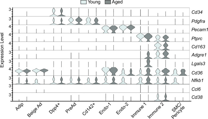 Figure 5—figure supplement 1.