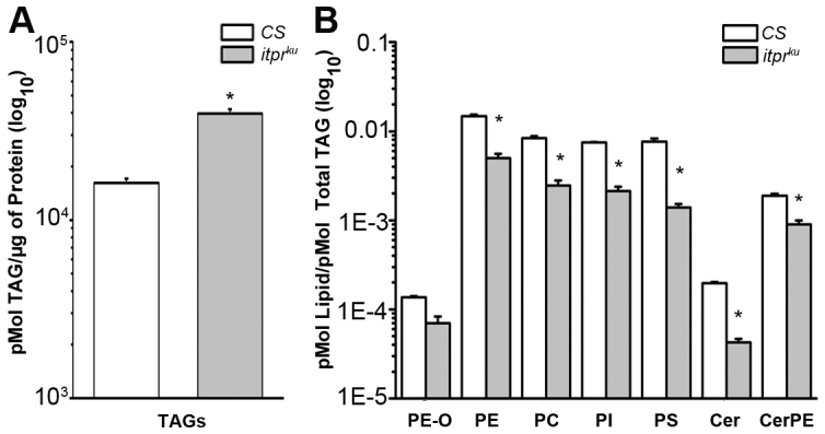 Fig. 6.