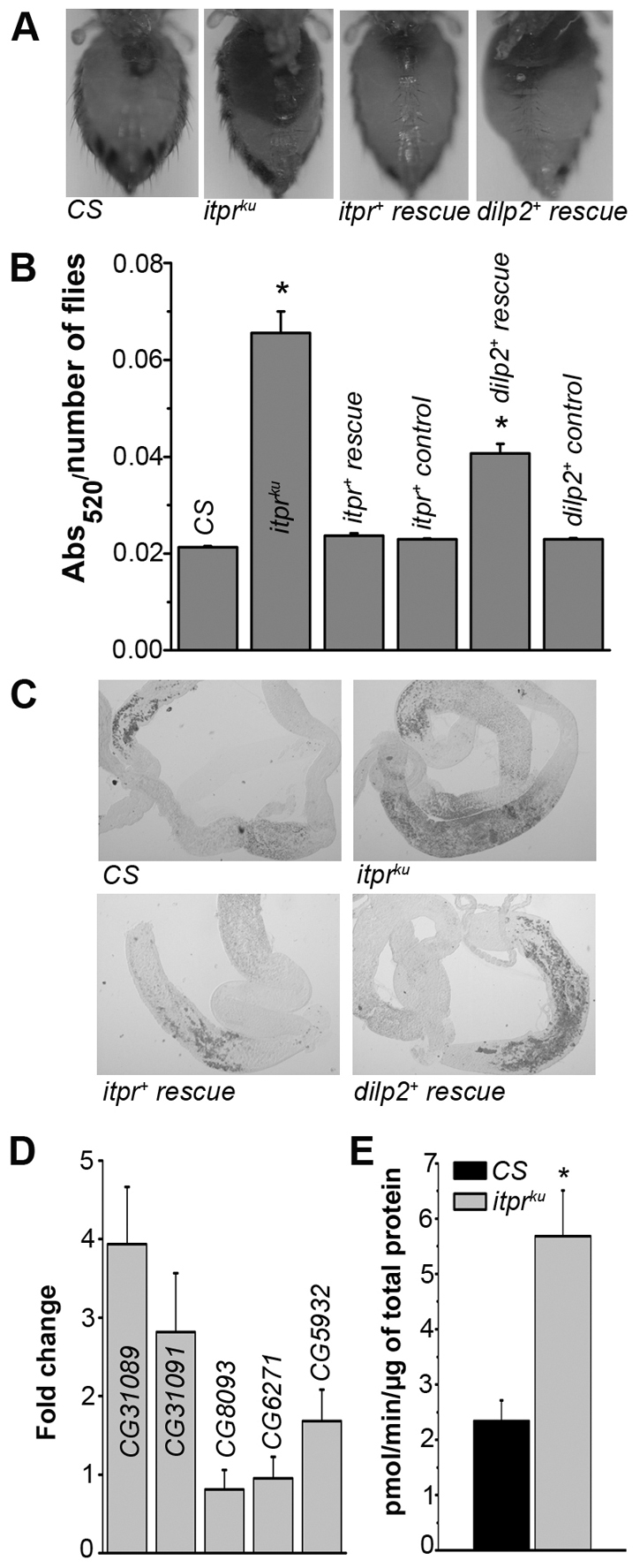 Fig. 7.