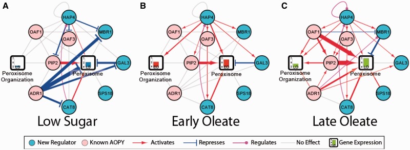 Figure 4.