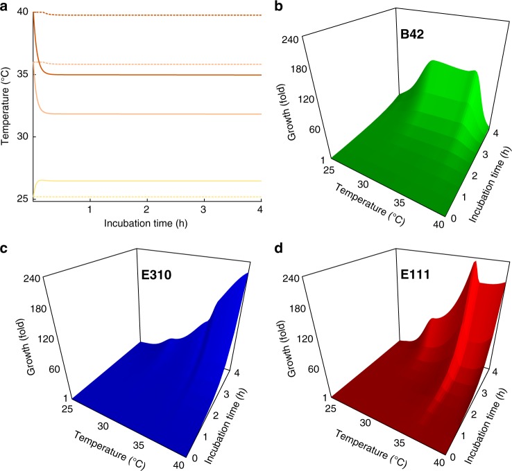 Fig. 4