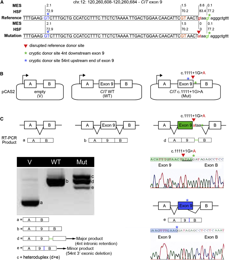 Figure 3