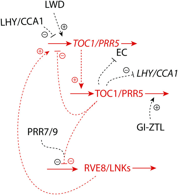 Fig 22