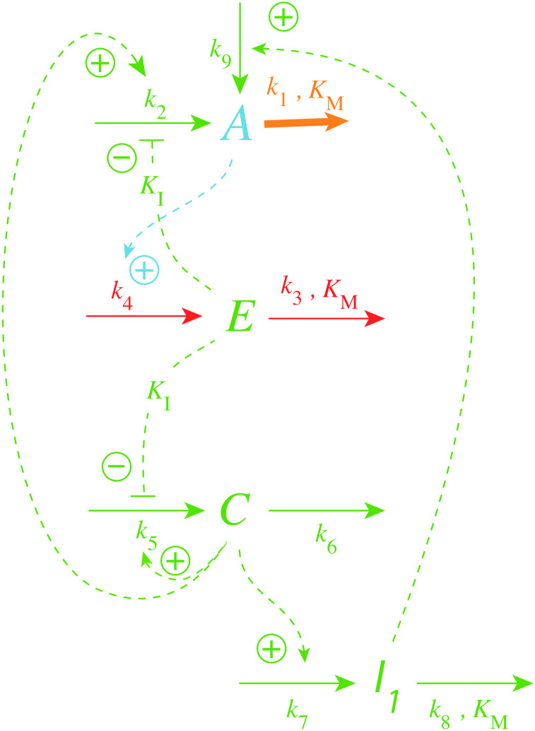 Fig 20