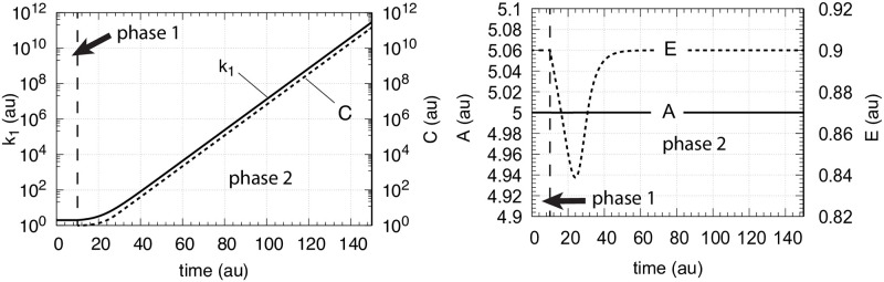 Fig 10