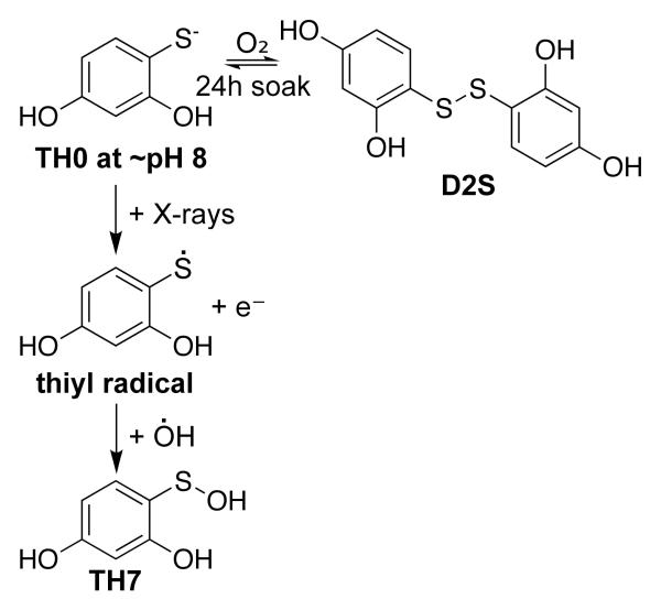 Scheme 1