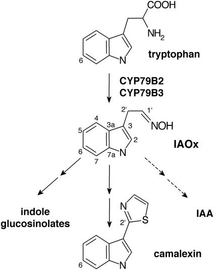 Fig. 1.