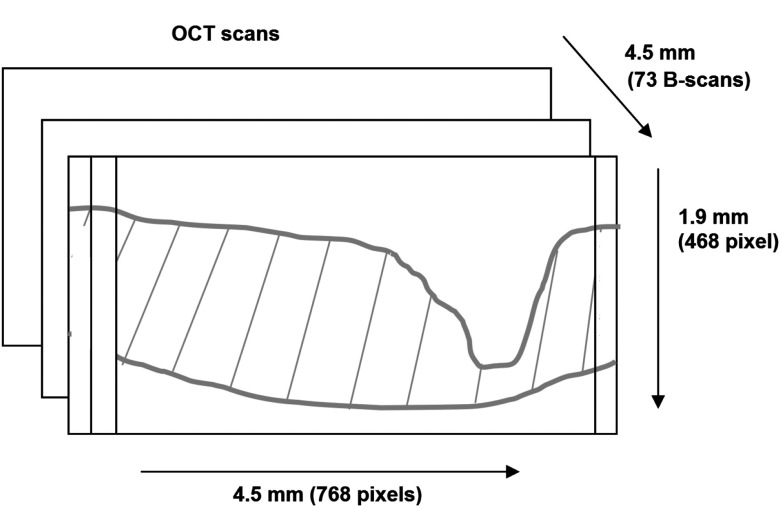 Fig. 2