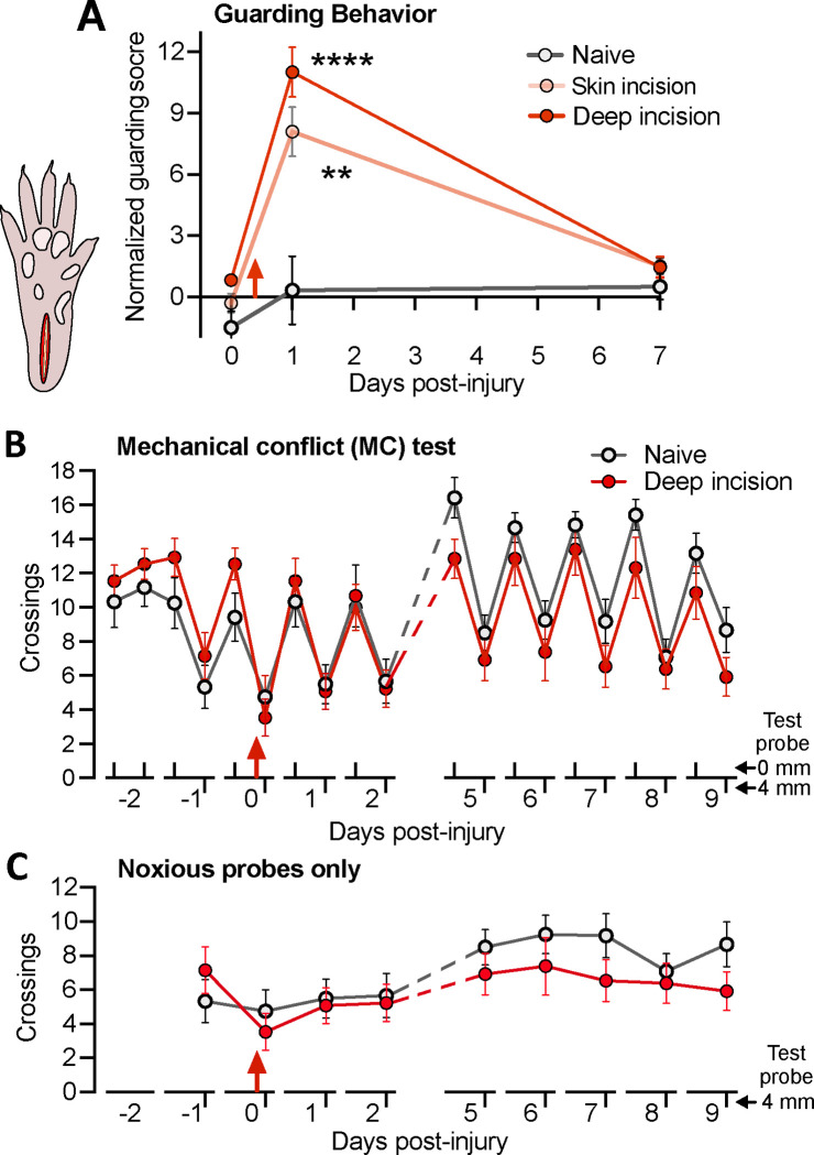 Figure 3.