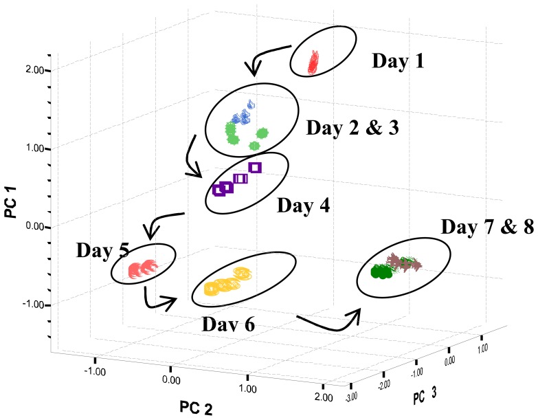 Figure 3.