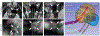 Fig. 6.
