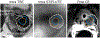 Fig. 8.