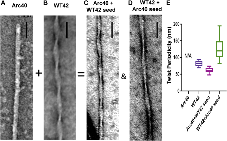 Figure 7