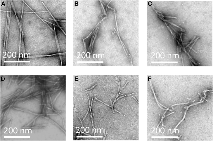 Figure 2