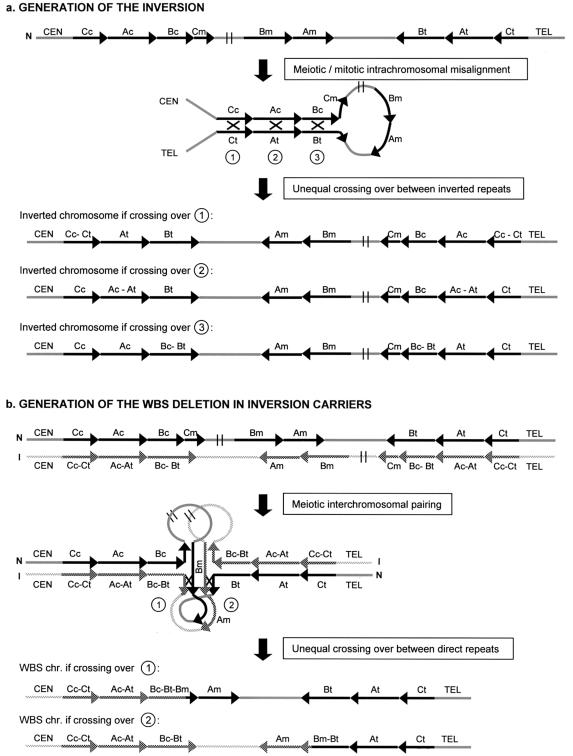 Figure  7