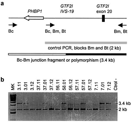 Figure  5