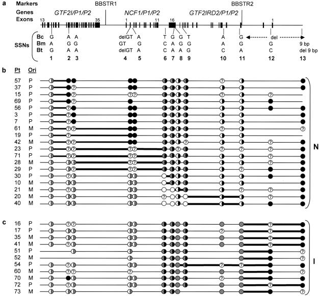 Figure  3