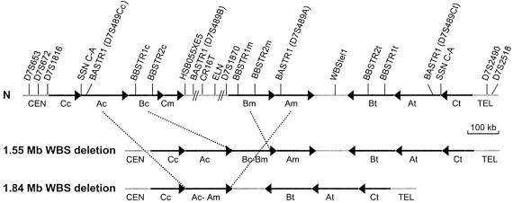 Figure  1