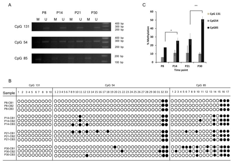 FIG 2