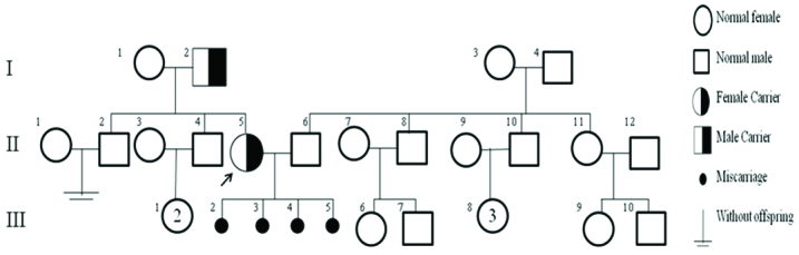 [Table/Fig-3]: