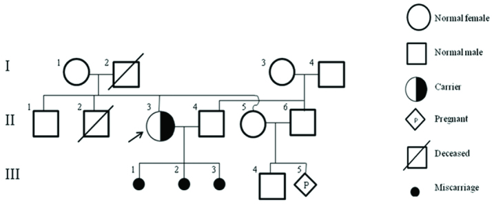 [Table/Fig-1]: