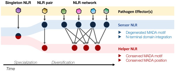 Figure 12.