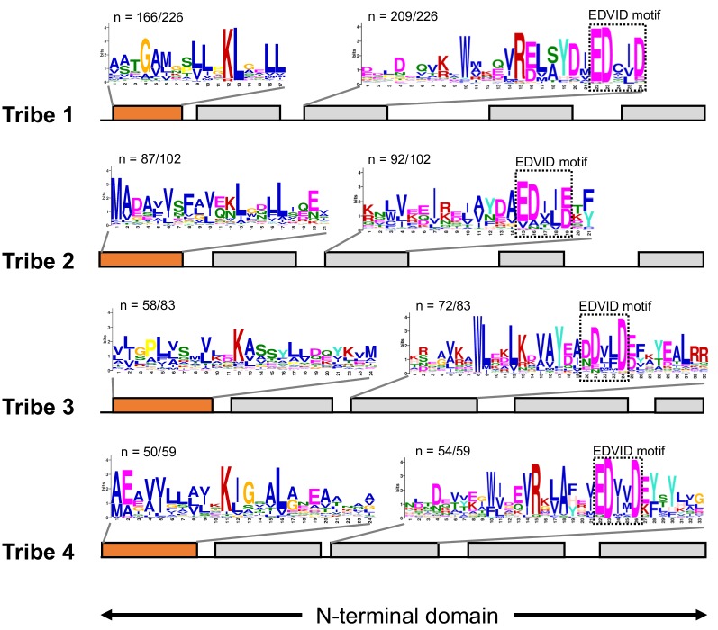 Figure 4—figure supplement 1.